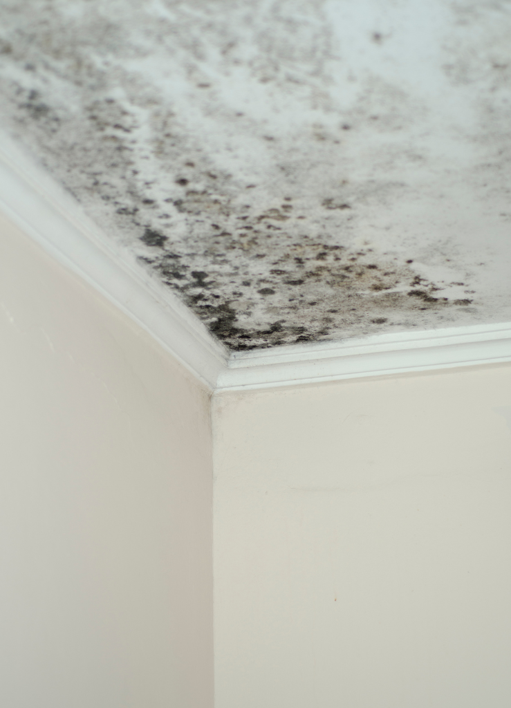 ventilation (6)